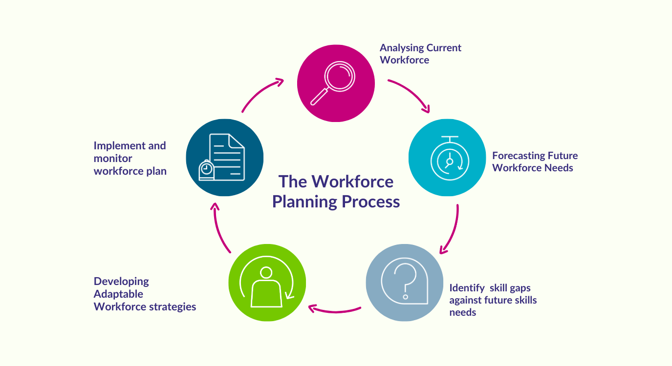 The Workforce Planning Process or Cycle